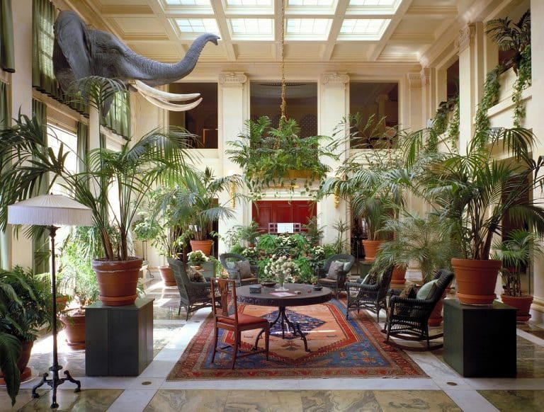 Quels éléments de décoration choisir pour apporter une touche de nature à votre maison ?