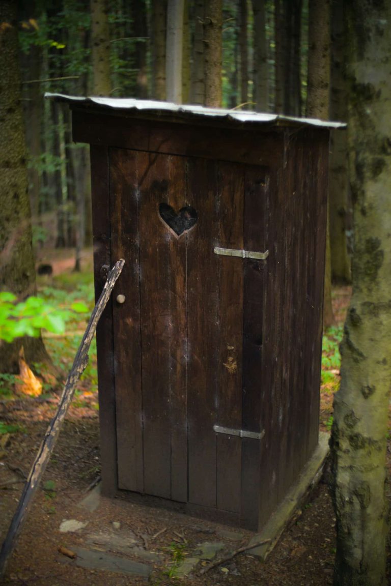 Quels sont les différents types de toilettes sèches et leurs usages ?